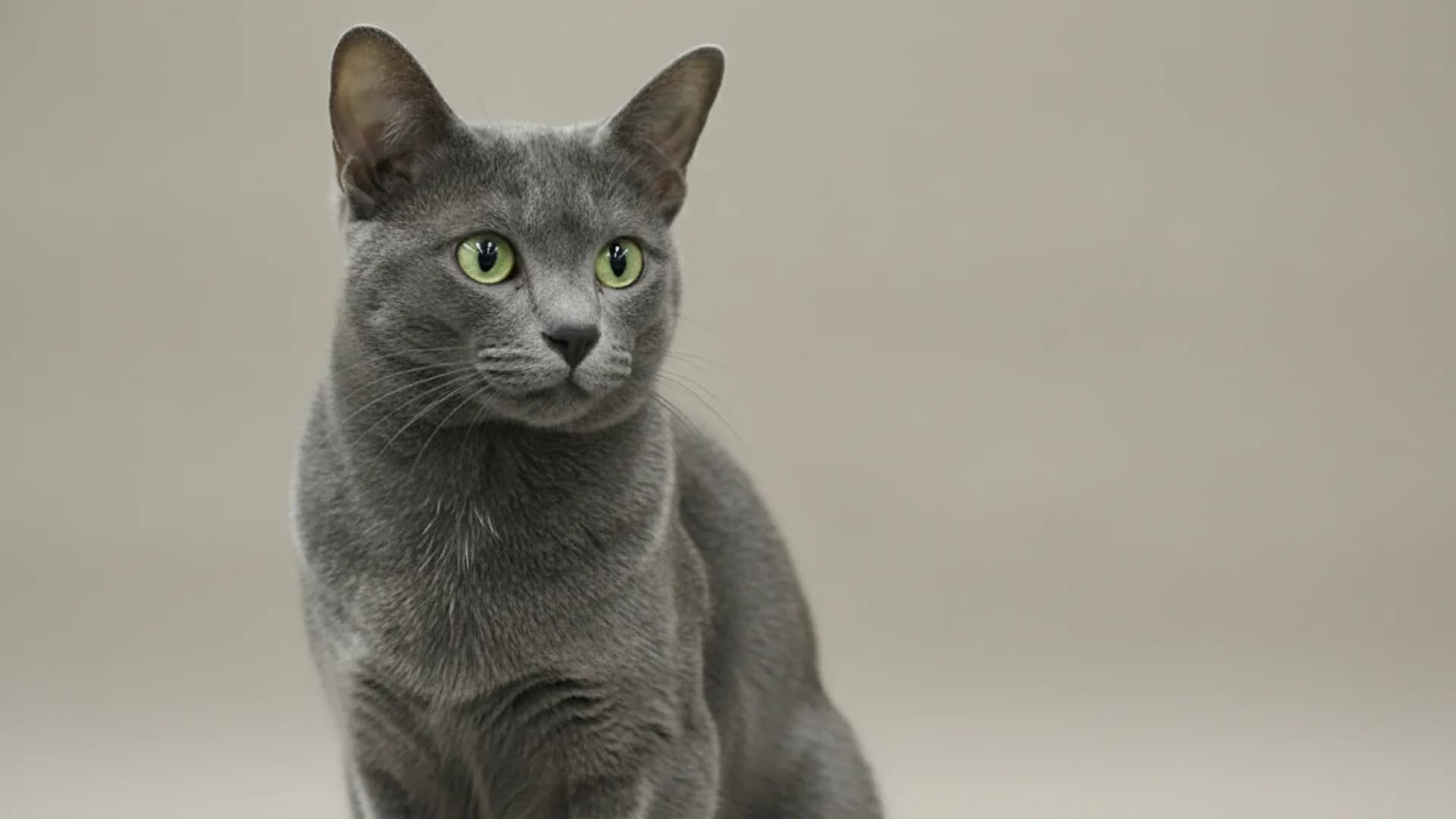 Illustration of Korat